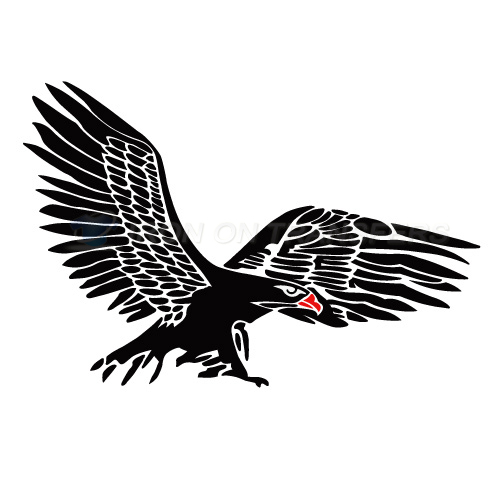 Eagles Iron-on Stickers (Heat Transfers)NO.2219